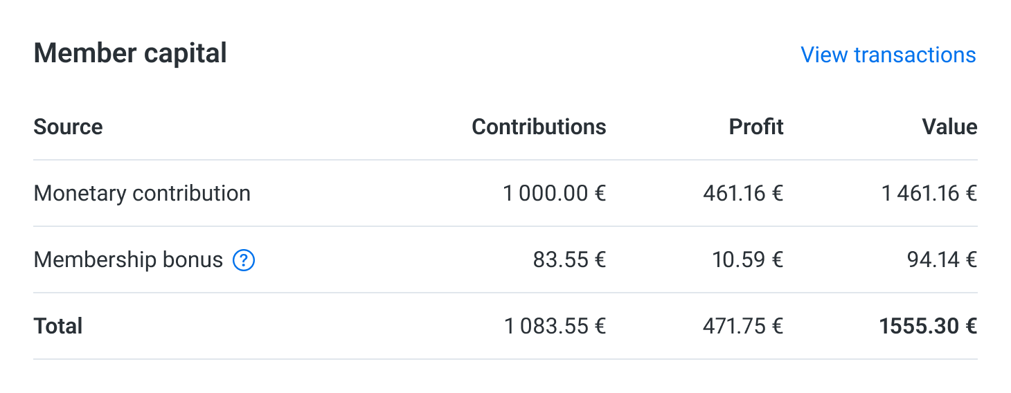 Example of a membership capital table in account view